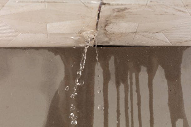 Professional Structural Drying technician working in Washington, VA